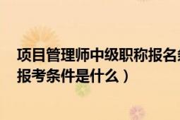 项目管理师中级职称报名条件（信息系统项目管理师(高级)报考条件是什么）