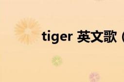 tiger 英文歌（tiger 英语单词）