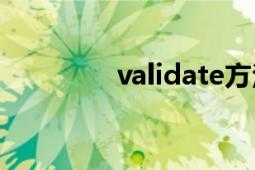 validate方法（Validate）