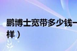 鹏博士宽带多少钱一年（请问鹏博士宽带怎么样）