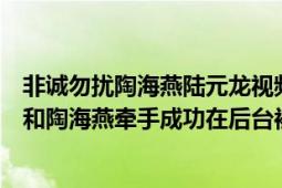 非诚勿扰陶海燕陆元龙视频完整版（非诚勿扰第四期陆元龙和陶海燕牵手成功在后台被采访时候的那个插曲名称）