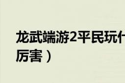 龙武端游2平民玩什么职业（龙武2什么职业厉害）