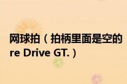 网球拍（拍柄里面是空的 怎么回事 我的球拍是Babolat Pure Drive GT.）