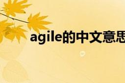 agile的中文意思（agile 英文单词）