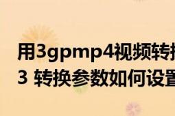 用3gpmp4视频转换精灵（将视频转换成mp3 转换参数如何设置）