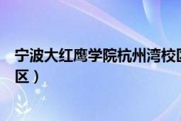 宁波大红鹰学院杭州湾校区人数（宁波大红鹰学院杭州湾校区）