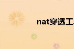 nat穿透工具（nat穿透）