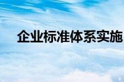 企业标准体系实施（企业标准体系要求）