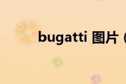 bugatti 图片（bugatti 车品牌）