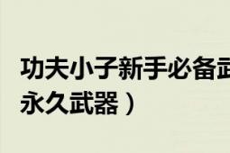 功夫小子新手必备武器（功夫小子怎么才能刷永久武器）