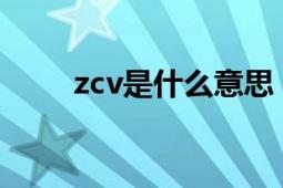 zcv是什么意思（XCV是什么意思）