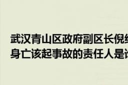 武汉青山区政府副区长倪红照片（女副区长倪红旅游因事故身亡该起事故的责任人是谁）