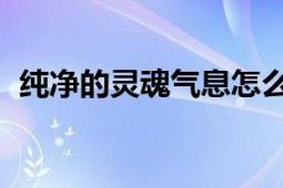 纯净的灵魂气息怎么用（求详细 再详细…）