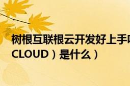 树根互联根云开发好上手吗（树根互联的根云平台（ROOTCLOUD）是什么）