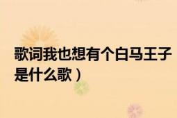 歌词我也想有个白马王子（歌词好象是有谁是我的白马王子是什么歌）