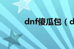 dnf傻瓜包（dnf傻瓜包怎么用）