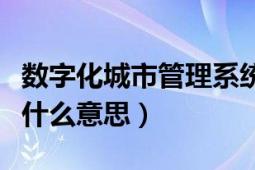 数字化城市管理系统建设（数字化城市管理是什么意思）