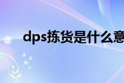 dps拣货是什么意思（DPS 自动拣货）