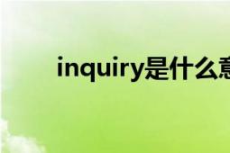 inquiry是什么意思啊（INQUIRY）