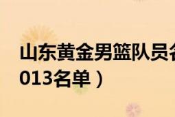 山东黄金男篮队员名单简介（山东黄金男篮2013名单）