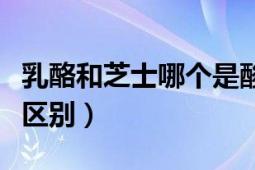 乳酪和芝士哪个是酸的（酸乳酪和乳酪有什么区别）