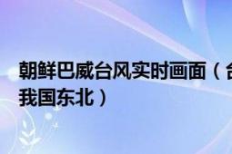 朝鲜巴威台风实时画面（台风巴威登陆朝鲜为何还会影响到我国东北）