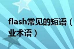 flash常见的短语（Timeline 制作Flash的专业术语）