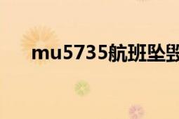 mu5735航班坠毁的原因（MU5735）