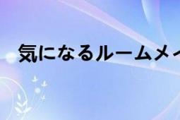 気になるルームメイト（room3~4哪有）