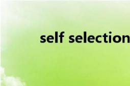 self selection（self SELF品牌）