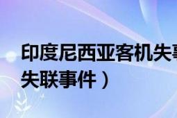 印度尼西亚客机失事（1228印度尼西亚航班失联事件）