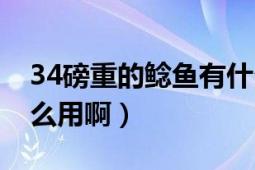 34磅重的鲶鱼有什么用（22磅重的鲶鱼有什么用啊）