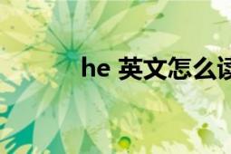 he 英文怎么读（he 英文单词）