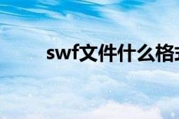 swf文件什么格式（swf 文件格式）