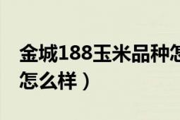 金城188玉米品种怎么样（连胜188玉米品种怎么样）