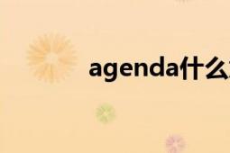 agenda什么意思（agenda）