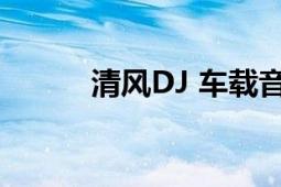 清风DJ 车载音乐u盘（清风DJ）