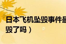 日本飞机坠毁事件最新消息（日本救援飞机坠毁了吗）