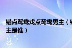 错点鸳鸯戏点鸳鸯男主（错点鸳鸯戏点鸳鸯第二部男主与女主是谁）