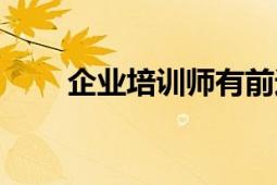 企业培训师有前途吗（企业培训师）