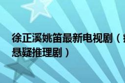 徐正溪姚笛最新电视剧（痕迹 2020年徐正溪、姚笛主演的悬疑推理剧）