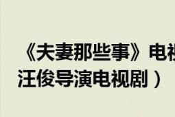 《夫妻那些事》电视剧（夫妻那些事 2012年汪俊导演电视剧）