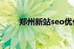 郑州新站seo优化推广（郑州新站）