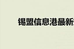 锡盟信息港最新规划（锡盟信息港）