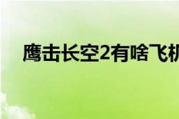 鹰击长空2有啥飞机（鹰击长空2中文版）