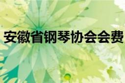 安徽省钢琴协会会费（安徽省钢琴协会章程）