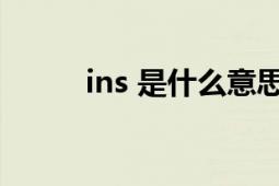 ins 是什么意思（INS 智能通讯）