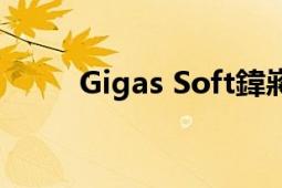 Gigas Soft鍏嶈垂（Gigas Soft）