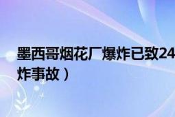 墨西哥烟花厂爆炸已致24人死亡（1220墨西哥烟花市场爆炸事故）