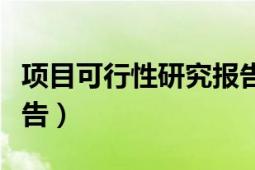 项目可行性研究报告收费（项目可行性研究报告）